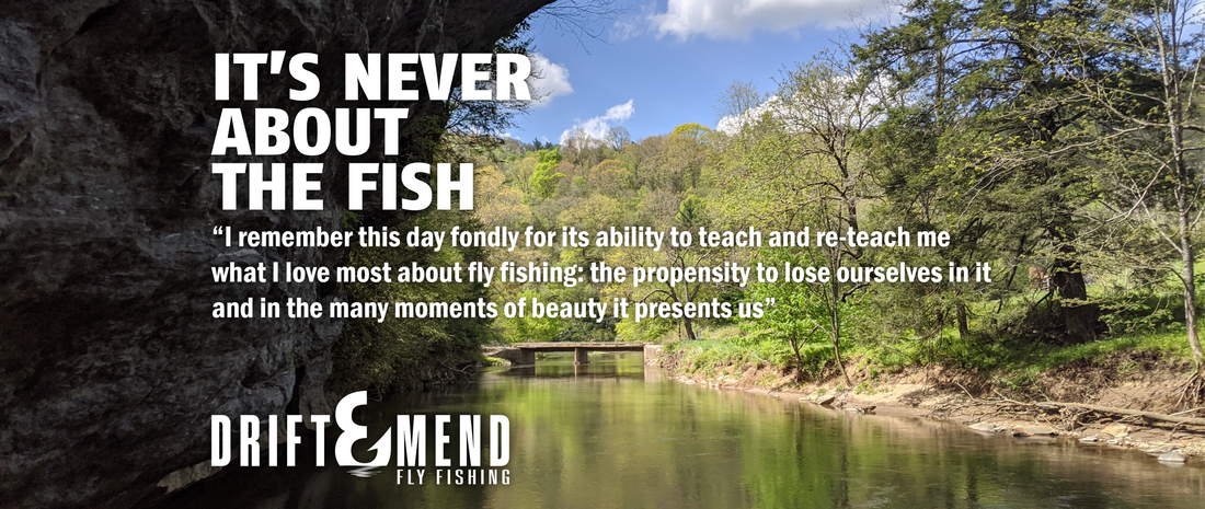 IT'S NEVER ABOUT THE FISH