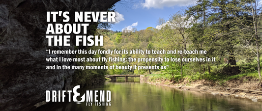 IT'S NEVER ABOUT THE FISH